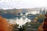 文章附图